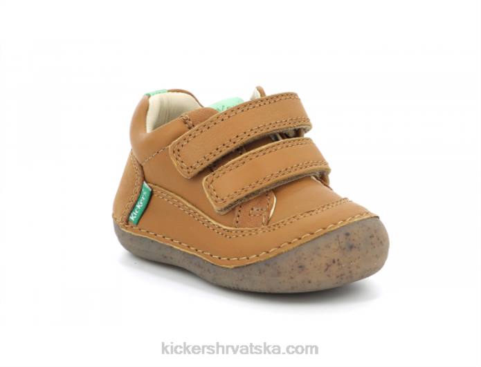 sostankro deva djeca Kickers22XJ914