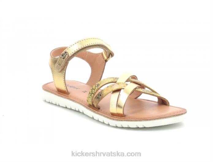 boljinovi zlatni reptil djeca Kickers22XJ488
